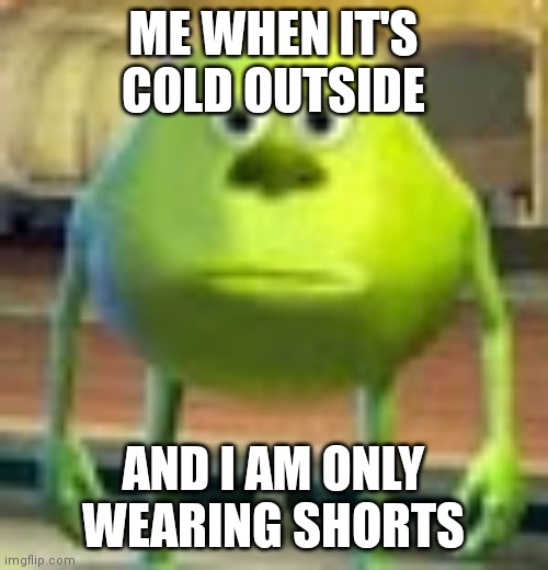 Sully Wazowski | ME WHEN IT'S COLD OUTSIDE; AND I AM ONLY WEARING SHORTS | image tagged in sully wazowski | made w/ Imgflip meme maker
