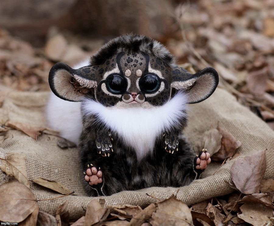 image tagged in awesome | made w/ Imgflip meme maker