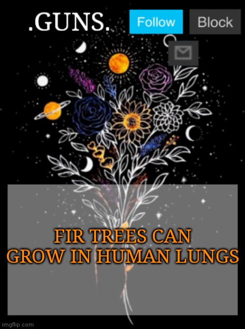 Creepy fact part 2 | FIR TREES CAN GROW IN HUMAN LUNGS | image tagged in guns announcement template | made w/ Imgflip meme maker
