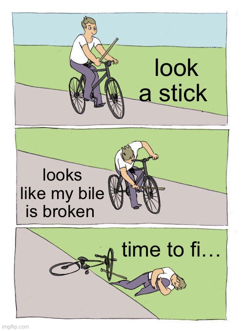 Bike Fall | look a stick; looks like my bile is broken; time to fi… | image tagged in memes,bike fall | made w/ Imgflip meme maker