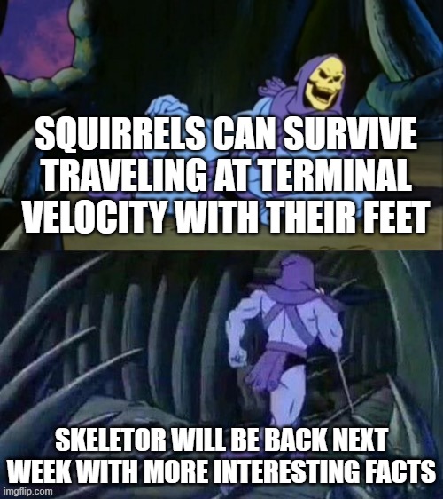 Skeletor disturbing facts | SQUIRRELS CAN SURVIVE TRAVELING AT TERMINAL VELOCITY WITH THEIR FEET; SKELETOR WILL BE BACK NEXT WEEK WITH MORE INTERESTING FACTS | image tagged in skeletor disturbing facts | made w/ Imgflip meme maker