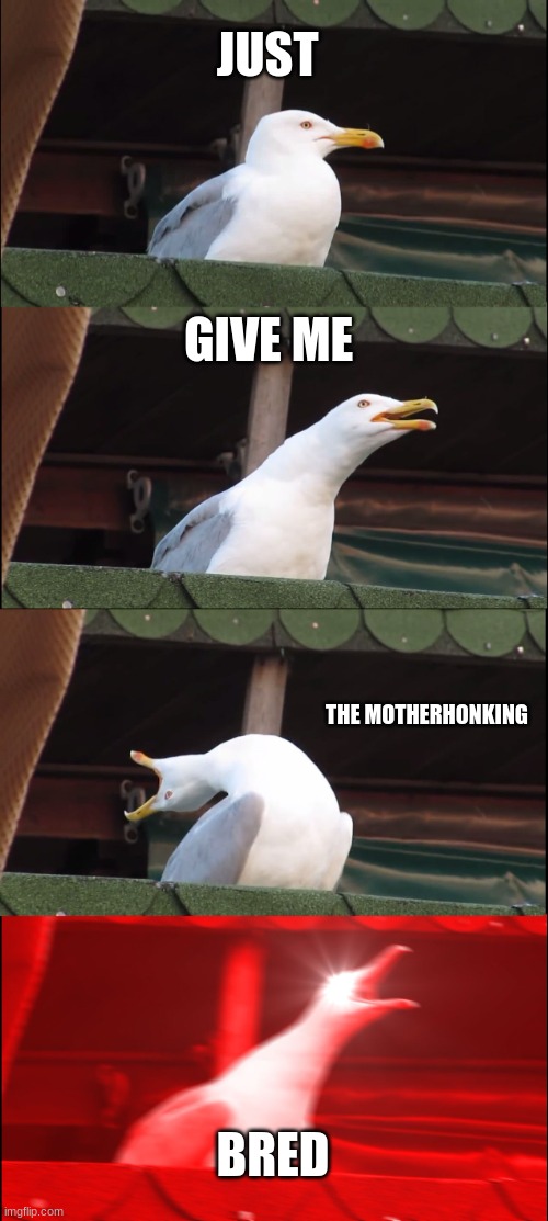 angry seagull | JUST; GIVE ME; THE MOTHERHONKING; BRED | image tagged in memes,inhaling seagull | made w/ Imgflip meme maker