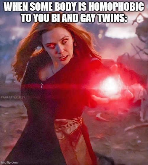 WHEN SOME BODY IS HOMOPHOBIC TO YOU BI AND GAY TWINS: | made w/ Imgflip meme maker