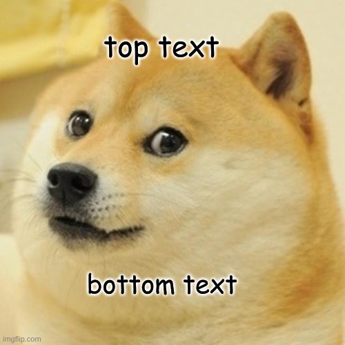 Doge Meme | top text; bottom text | image tagged in memes,doge | made w/ Imgflip meme maker