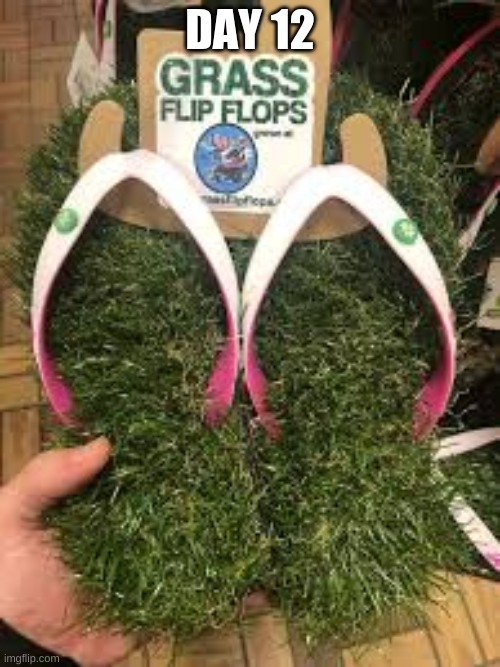 day 12 of posting weird things | DAY 12 | image tagged in grass,flip flops | made w/ Imgflip meme maker