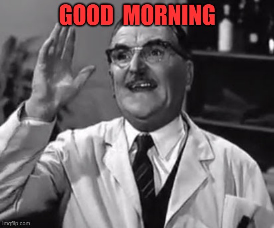 GOOD  MORNING | image tagged in good morning | made w/ Imgflip meme maker