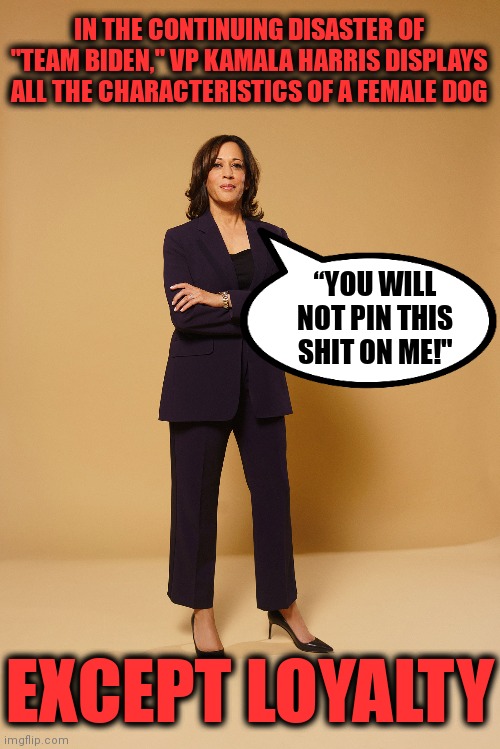 Worst $235,100 per year the United States has ever spent! | IN THE CONTINUING DISASTER OF "TEAM BIDEN," VP KAMALA HARRIS DISPLAYS ALL THE CHARACTERISTICS OF A FEMALE DOG; “YOU WILL NOT PIN THIS SHIT ON ME!"; EXCEPT LOYALTY | image tagged in memes,kamala harris,vice president,female dog,loyalty | made w/ Imgflip meme maker