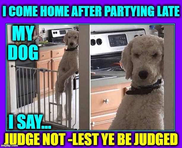My Poodle Solomon is quite Judgmental | I COME HOME AFTER PARTYING LATE; MY
DOG; I SAY... JUDGE NOT -LEST YE BE JUDGED | image tagged in vince vance,judgmental,poodle,solomon,judge not,memes | made w/ Imgflip meme maker