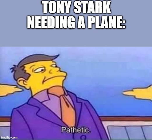 skinner pathetic | TONY STARK NEEDING A PLANE: | image tagged in skinner pathetic | made w/ Imgflip meme maker