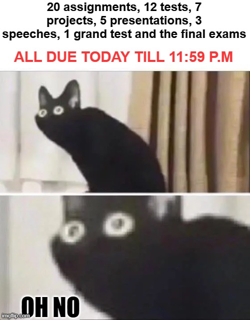 situations in online schools be like: | 20 assignments, 12 tests, 7 projects, 5 presentations, 3 speeches, 1 grand test and the final exams; ALL DUE TODAY TILL 11:59 P.M; OH NO | image tagged in oh no black cat,middle school,fun,memes,oh no cat | made w/ Imgflip meme maker