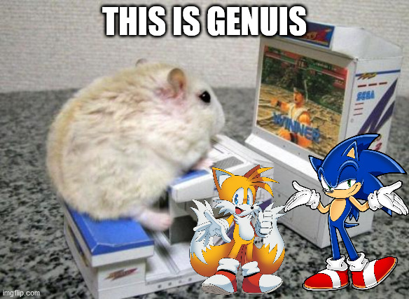 hamster arcade | THIS IS GENUIS | image tagged in hamster arcade | made w/ Imgflip meme maker