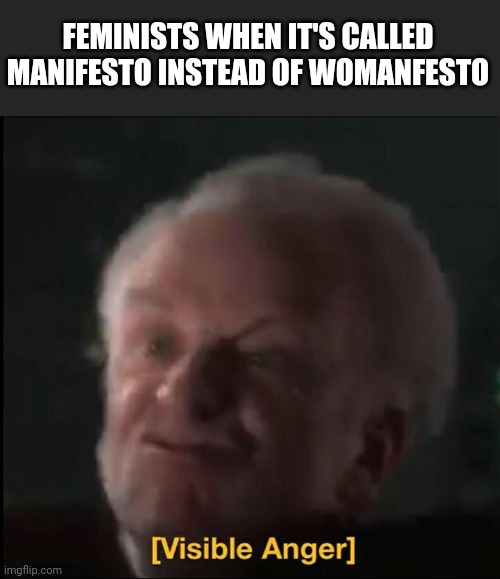 Yes idk if it's stolen or not | FEMINISTS WHEN IT'S CALLED MANIFESTO INSTEAD OF WOMANFESTO | image tagged in visible anger | made w/ Imgflip meme maker