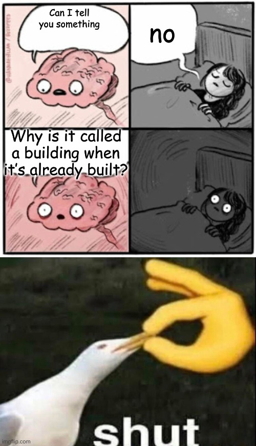 Good question | no; Can I tell you something; Why is it called a building when it’s already built? | image tagged in brain before sleep,shut,funny memes,memes,question | made w/ Imgflip meme maker