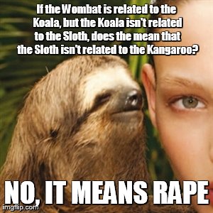 Whisper Sloth Meme | If the Wombat is related to the Koala, but the Koala isn't related to the Sloth, does the mean that the Sloth isn't related to the Kangaroo? | image tagged in memes,whisper sloth | made w/ Imgflip meme maker