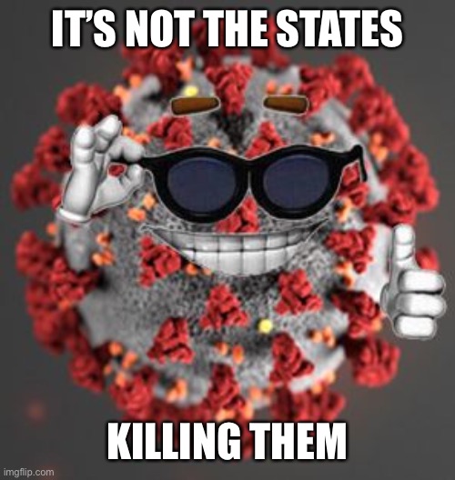 Coronavirus | IT’S NOT THE STATES KILLING THEM | image tagged in coronavirus | made w/ Imgflip meme maker
