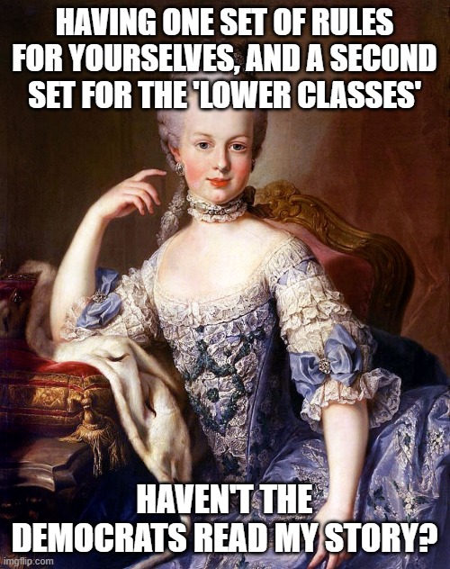 History repeats itself, hopefully | HAVING ONE SET OF RULES FOR YOURSELVES, AND A SECOND SET FOR THE 'LOWER CLASSES'; HAVEN'T THE DEMOCRATS READ MY STORY? | image tagged in marie antoinette | made w/ Imgflip meme maker