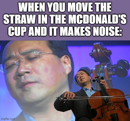 A true musician | WHEN YOU MOVE THE STRAW IN THE MCDONALD'S CUP AND IT MAKES NOISE: | image tagged in chinese violin | made w/ Imgflip meme maker