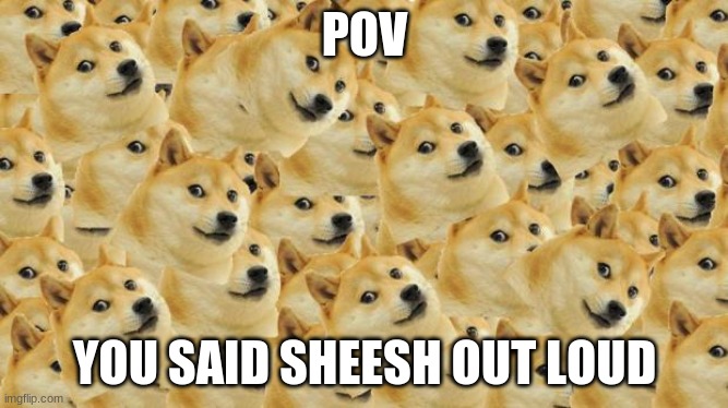 Multi Doge |  POV; YOU SAID SHEESH OUT LOUD | image tagged in memes,multi doge | made w/ Imgflip meme maker