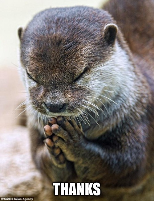 Thank you Lord Otter | THANKS | image tagged in thank you lord otter | made w/ Imgflip meme maker