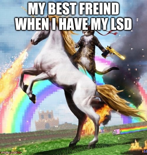 Welcome To The Internets | MY BEST FREIND WHEN I HAVE MY LSD | image tagged in memes,welcome to the internets | made w/ Imgflip meme maker