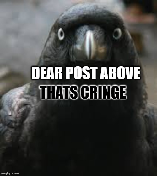 the raven has spoken | DEAR POST ABOVE | made w/ Imgflip meme maker