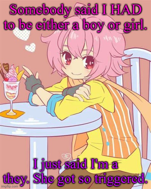 It's the funniest thing ever | Somebody said I HAD to be either a boy or girl. I just said I'm a they. She got so triggered. | image tagged in akira yamatoga | made w/ Imgflip meme maker