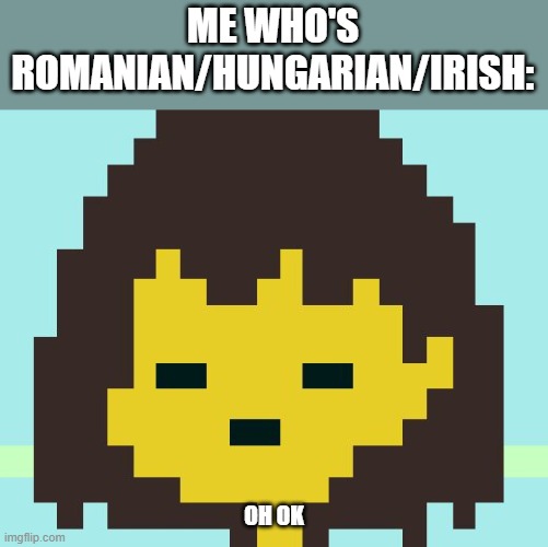 Frisk's face | ME WHO'S ROMANIAN/HUNGARIAN/IRISH: OH OK | image tagged in frisk's face | made w/ Imgflip meme maker