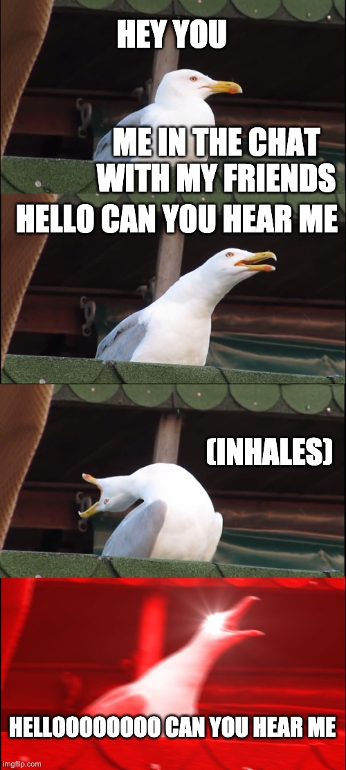 the party chat | HEY YOU; ME IN THE CHAT WITH MY FRIENDS; HELLO CAN YOU HEAR ME; (INHALES); HELLOOOOOOOO CAN YOU HEAR ME | image tagged in memes,inhaling seagull | made w/ Imgflip meme maker