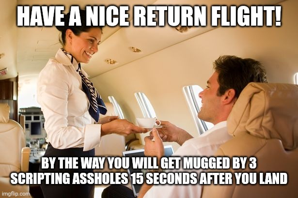 stewardess | HAVE A NICE RETURN FLIGHT! BY THE WAY YOU WILL GET MUGGED BY 3 SCRIPTING ASSHOLES 15 SECONDS AFTER YOU LAND | image tagged in stewardess | made w/ Imgflip meme maker