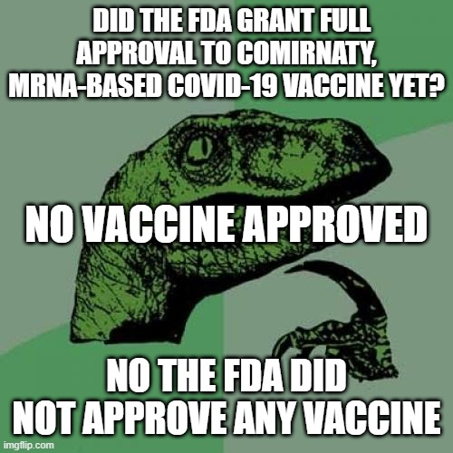 Covid-19 Vaccine approval? | DID THE FDA GRANT FULL APPROVAL TO COMIRNATY, MRNA-BASED COVID-19 VACCINE YET? NO VACCINE APPROVED; NO THE FDA DID NOT APPROVE ANY VACCINE | image tagged in memes,philosoraptor,coronavirus,coronavirus meme,bill gates loves vaccines,pandemic | made w/ Imgflip meme maker