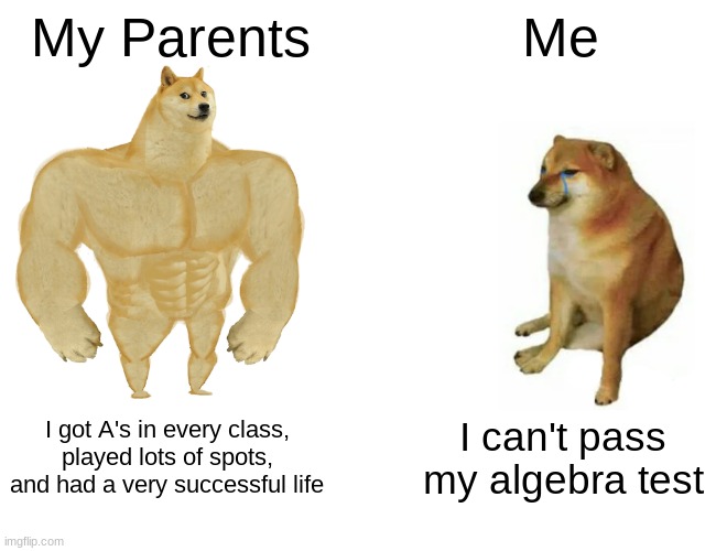 My Parents vs. Me | My Parents; Me; I got A's in every class, played lots of spots, and had a very successful life; I can't pass my algebra test | image tagged in memes,buff doge vs cheems | made w/ Imgflip meme maker