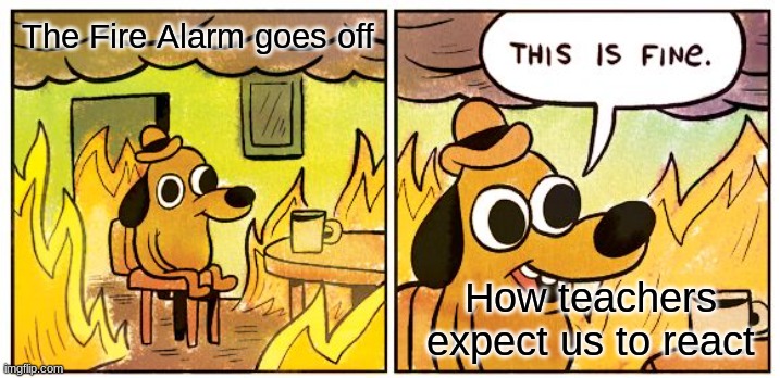 Teachers and the fire alarm | The Fire Alarm goes off; How teachers expect us to react | image tagged in memes,this is fine | made w/ Imgflip meme maker