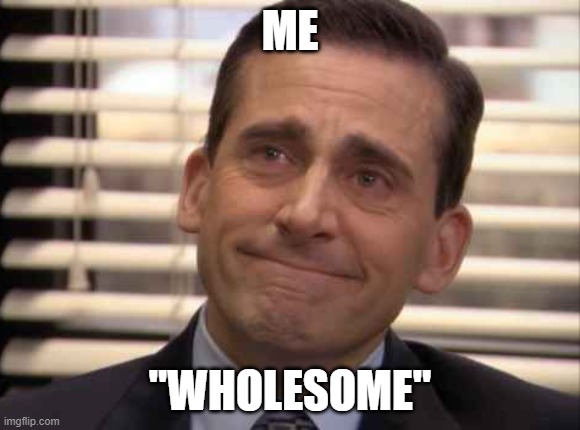 wholesome | ME "WHOLESOME" | image tagged in wholesome | made w/ Imgflip meme maker