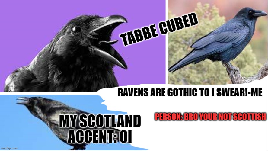 Ya' think ya can jost Talk about me like that | MY SCOTLAND ACCENT: OI; PERSON: BRO YOUR NOT SCOTTISH | image tagged in my raven temp ha | made w/ Imgflip meme maker