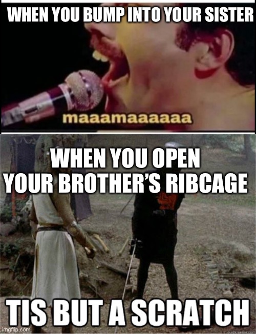 Tis’ But a scratch | WHEN YOU BUMP INTO YOUR SISTER; WHEN YOU OPEN YOUR BROTHER’S RIBCAGE | image tagged in tis but a scratch | made w/ Imgflip meme maker