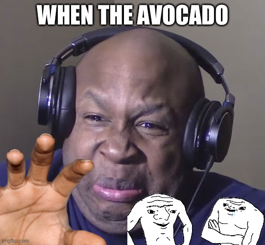 Cringe | WHEN THE AVOCADO | image tagged in cringe | made w/ Imgflip meme maker