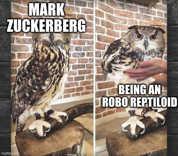 owl |  MARK ZUCKERBERG; BEING AN ROBO REPTILOID | image tagged in legs,owl,owllegs,mark,zuckerberg,mark zuckerberg | made w/ Imgflip meme maker