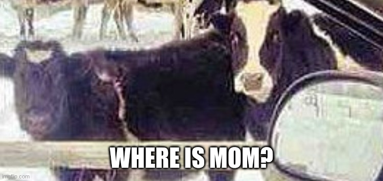 WHERE IS MOM? | made w/ Imgflip meme maker