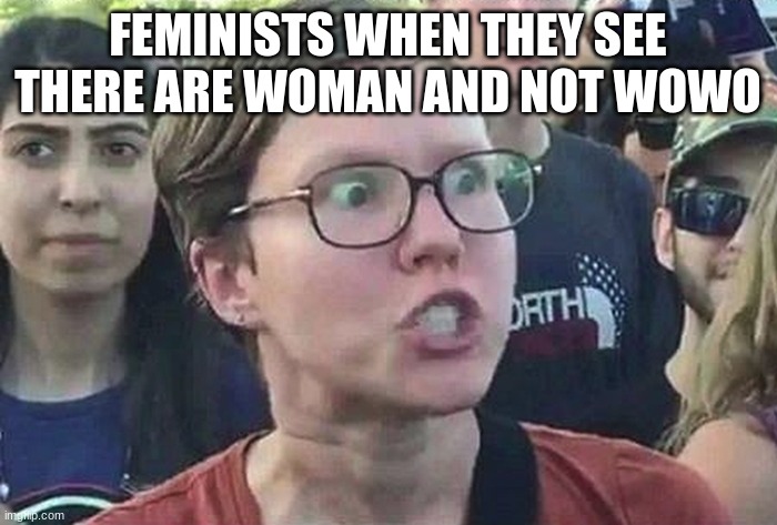 Triggered Liberal | FEMINISTS WHEN THEY SEE THERE ARE WOMAN AND NOT WOWO | image tagged in triggered liberal | made w/ Imgflip meme maker