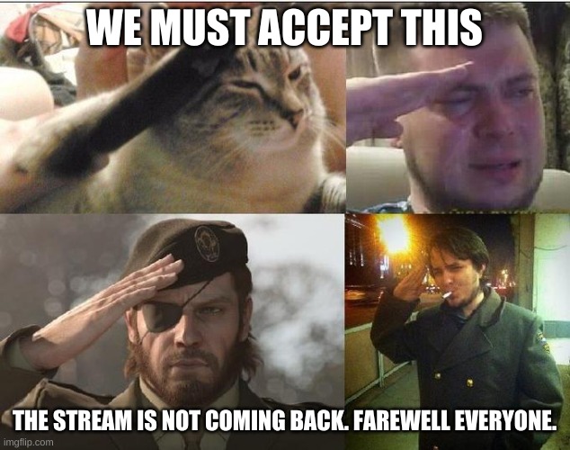 Former T13, over and out. goodbye everyone, and RIP malon. | WE MUST ACCEPT THIS; THE STREAM IS NOT COMING BACK. FAREWELL EVERYONE. | image tagged in sad salute | made w/ Imgflip meme maker