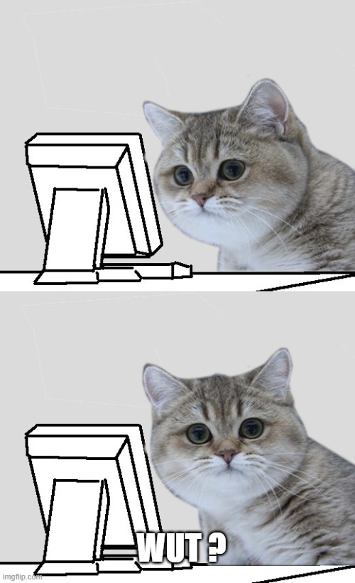 Wut?Hai,Nope! | WUT ? | image tagged in wut hai nope | made w/ Imgflip meme maker