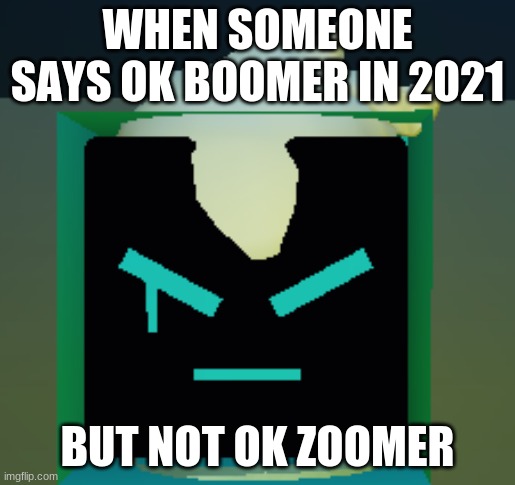 I did this to make Teros a meme. | WHEN SOMEONE SAYS OK BOOMER IN 2021; BUT NOT OK ZOOMER | image tagged in teros is mad | made w/ Imgflip meme maker