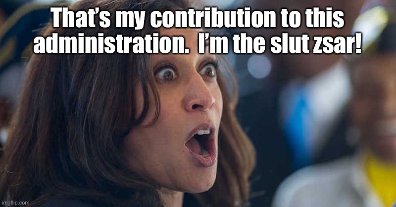 kamala harriss | That’s my contribution to this administration.  I’m the slut zsar! | image tagged in kamala harriss | made w/ Imgflip meme maker