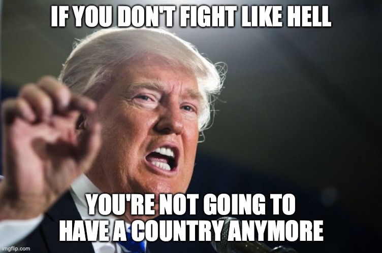 if you don't fight like hell | IF YOU DON'T FIGHT LIKE HELL; YOU'RE NOT GOING TO HAVE A COUNTRY ANYMORE | image tagged in donald trump | made w/ Imgflip meme maker