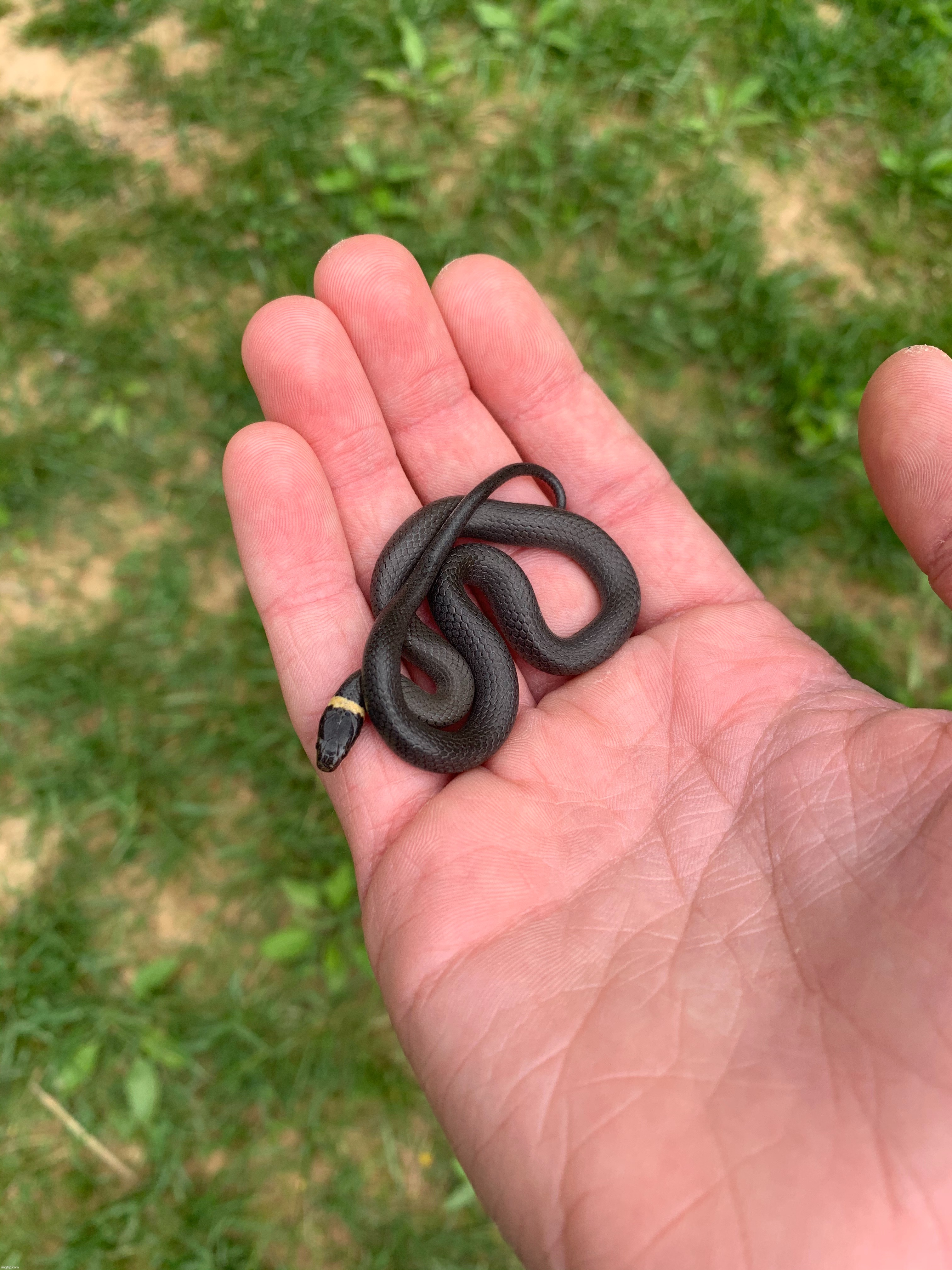 adorable. | made w/ Imgflip meme maker