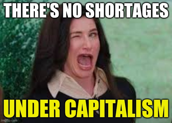 brandon brandon brandon | THERE'S NO SHORTAGES; UNDER CAPITALISM | image tagged in agatha harkness wink,supply shortages,capitalism,delusional,conservative logic,free market | made w/ Imgflip meme maker