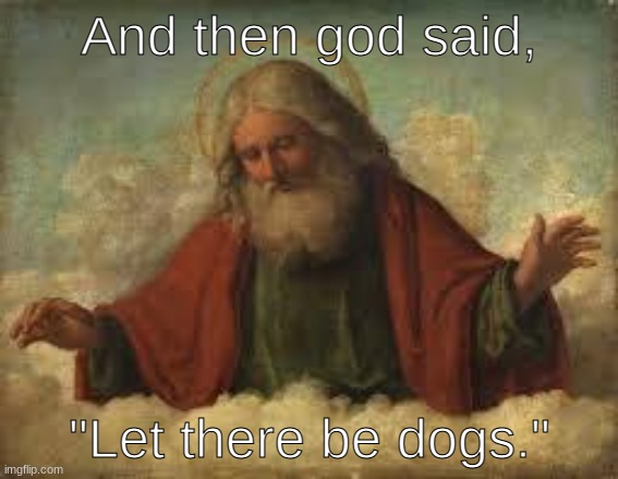 god | And then god said, "Let there be dogs." | image tagged in god | made w/ Imgflip meme maker