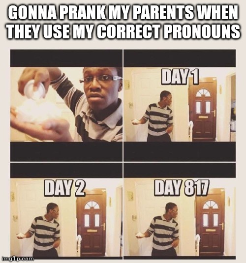 Sigh | GONNA PRANK MY PARENTS WHEN THEY USE MY CORRECT PRONOUNS | image tagged in gonna prank x when he/she gets home,pronouns | made w/ Imgflip meme maker
