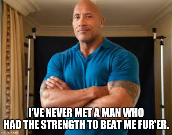 I'VE NEVER MET A MAN WHO HAD THE STRENGTH TO BEAT ME FUR'ER. | made w/ Imgflip meme maker