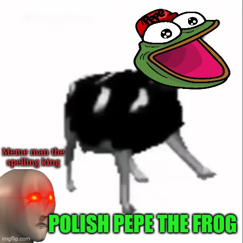 dancing polish cow | POLISH PEPE THE FROG Meme man the spelling king | image tagged in dancing polish cow | made w/ Imgflip meme maker